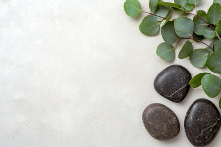 natural spa stones and leavesの素材