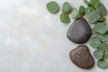 Tranquil nature scene with stones and leavesの素材