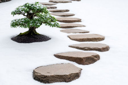 Snowy garden path with bonsai treeの素材