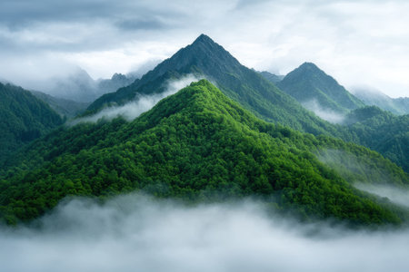 Majestic mountain landscape with lush green forests and misty cloudsの素材