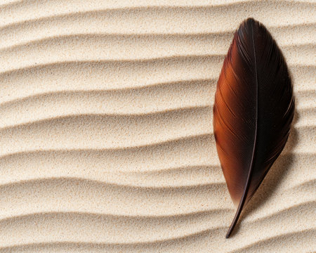 Feather on sand dunesの素材