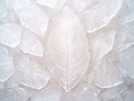 Translucent crystal feather on icy backgroundの素材