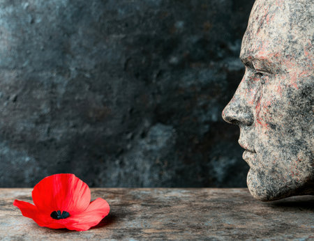 Solitary red poppy flower against a weathered stone faceの素材