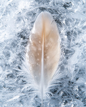 Delicate feather in frozen ice crystalsの素材