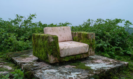 Moss-covered stone chair in lush green forestの素材