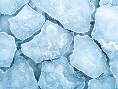 Intricate patterns of frozen iceの素材