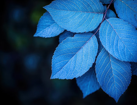 Vibrant blue leaves with intricate veinsの素材