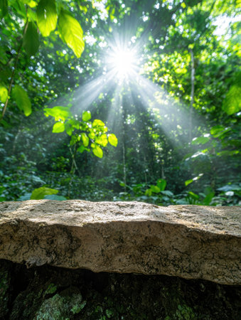 Sunlight shining through lush green foliageの素材