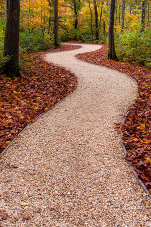 Winding autumn path through colorful forestの素材
