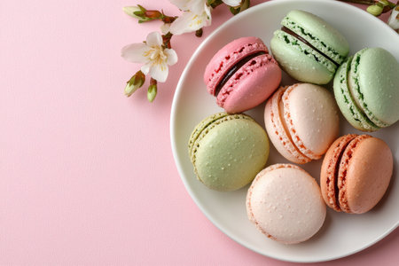 Pastel macarons on a pink background with spring blossomsの素材