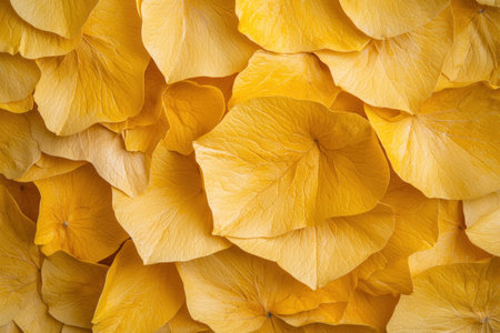 Golden Hydrangea Petals Background Textureの素材