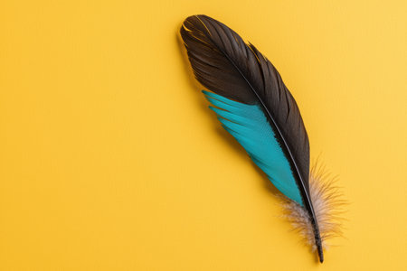 Single teal and black feather on yellow backgroundの素材
