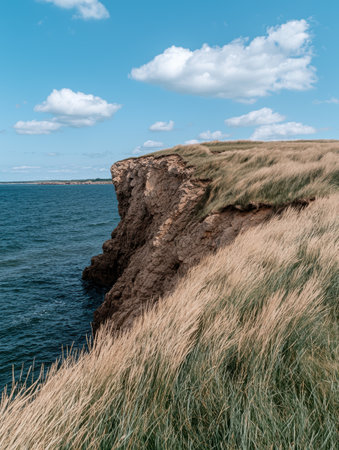 Windswept grass on a dramatic coastal cliff overlooking the oceanの素材