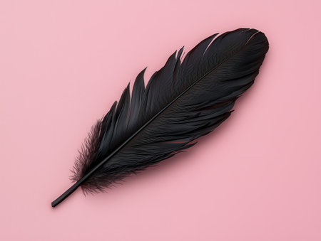 Black feather on pink backgroundの素材