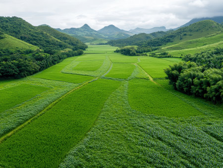 Aerial view of vibrant green agricultural fields in a valleyの素材