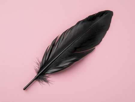 Black feather on pink backgroundの素材