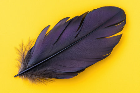 Single dark feather on yellow backgroundの素材