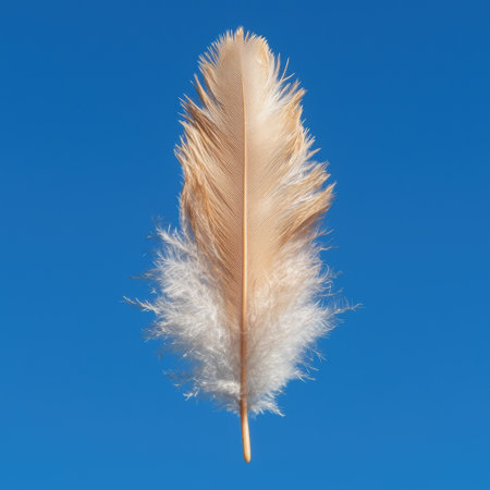 Single light brown feather against a bright blue skyの素材