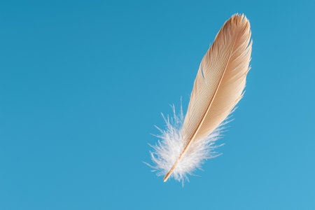 Single soft feather floating on a blue backgroundの素材