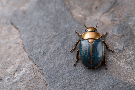 Closeup of a metallic blue and gold beetle on a stone surfaceの素材