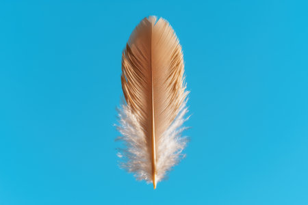 Single light brown feather on a blue backgroundの素材