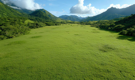 Lush green valley surrounded by majestic mountainsの素材