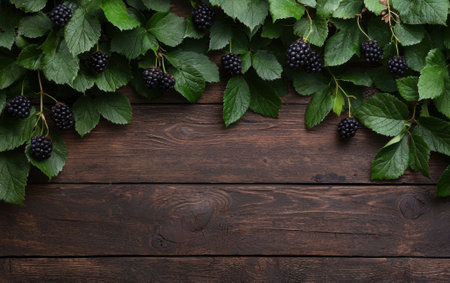 Fresh blackberries with green leaves on wooden backgroundの素材
