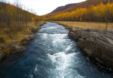 Turbulent river flowing through autumn landscapeの素材