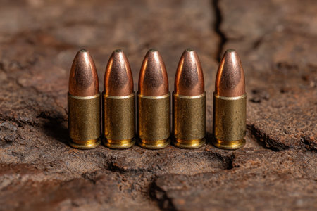 Five bullets on a rustic wooden surfaceの素材