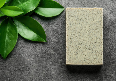 Spa bar of soap with green leavesの素材