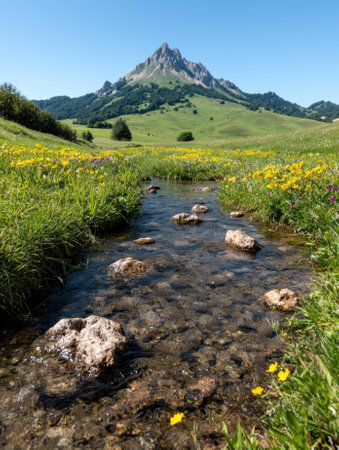 Scenic mountain landscape with a stream flowing through a meadow.の素材
