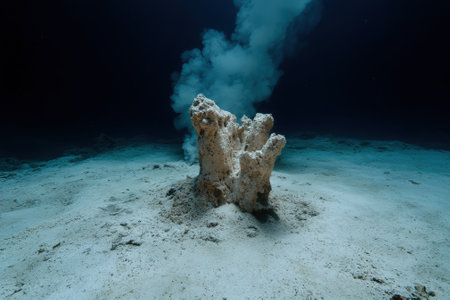 Underwater hydrothermal vent spewing smoke on the ocean floor.の素材