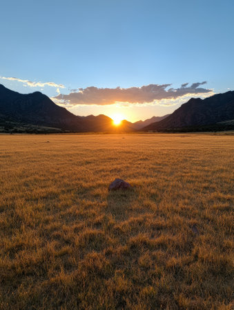Golden sunset over a grassy field with mountains in the distance.の素材
