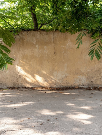 Old wall with tree branches and leaves casting shadows.の素材