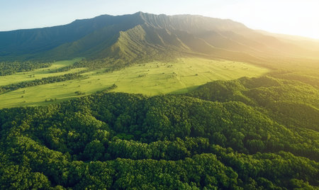 Lush green landscape with mountains and forest.の素材
