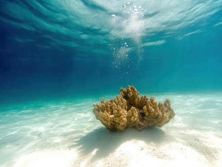 Underwater scene with coral on the seabed and bubbles rising to the surface.の素材