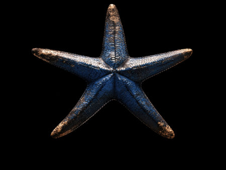 A blue starfish on a black background.の素材