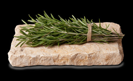 Fresh rosemary sprigs tied with twine on a stone slab.の素材