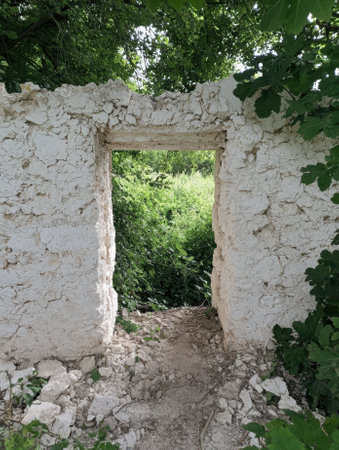 An old crumbling doorway stands in a lush green landscape.の素材