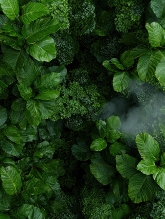 Lush green foliage with a misty atmosphere.の素材
