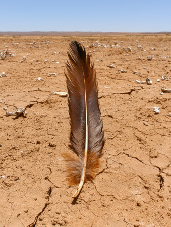 A feather lies on the cracked desert ground.の素材