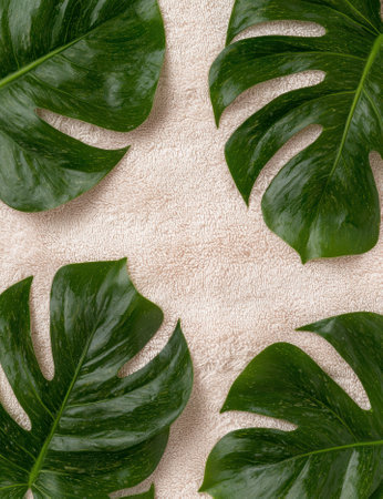 Monstera leaves on a textured surface create a natural and calming background.の素材
