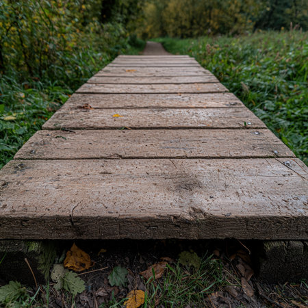 Wooden boardwalk through a lush green forest.の素材