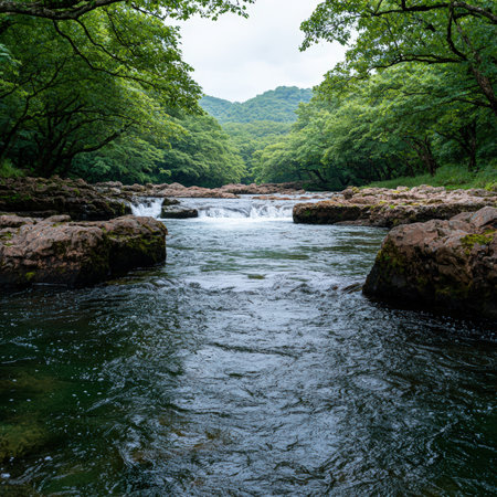Scenic river flowing through a lush green forest.の素材