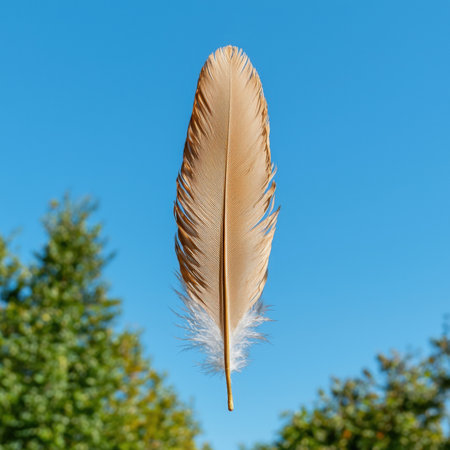 Single brown feather floats against a clear blue sky.の素材