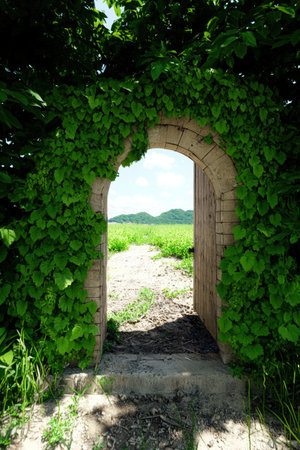 Stone archway covered in lush green vines leads to meadow.の素材