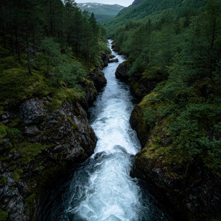 Dramatic river rapids flow through a verdant gorge.の素材