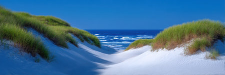 Sunlit sand dunes with ocean waves and blue skyの素材