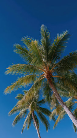 Lush palm fronds against a vibrant blue skyの素材