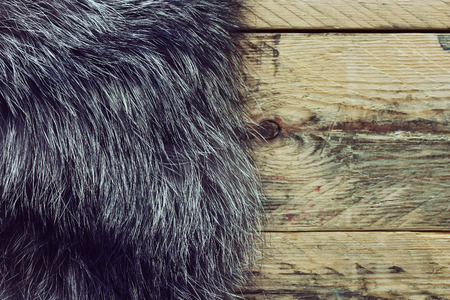 fur black and silver fox on a wooden tableの写真素材